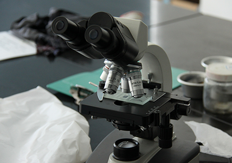 Impurity Microscope